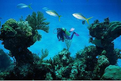 外媒评今年15款世界观最大的游戏 《王国之泪》在列